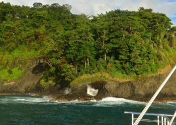 Catamaran Tour in Manuel Antonio